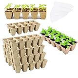 Favorise la germination : conçus pour favoriser une croissance saine des semis, ces plateaux offrent des conditions idéales pour la germination, favorisant des plantes fortes et robustes. Transplantez directement les pots dans un massif ou en pleine terre sans retirer manuellement le pot de démarrage.