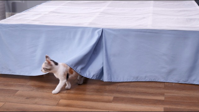 Amazon.com: Cathay Home Twin Bed Skirt - Double Brushed Microfiber