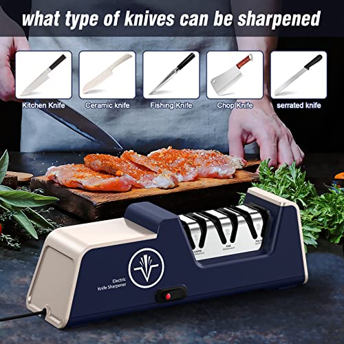 Homly Professional Electric Knife Sharpeners For Kitchen Knives With Diamond Abrasives And Precision Angle Guides, Multifunctional 3-Stage Slots, Applicable To Straight Knife And Ceramic Knife #TOP4