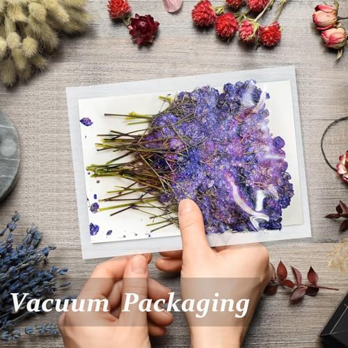 Flores Secas Prensadas de Gypsophila con Tallo 42PCS miniatura 3