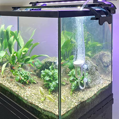 Image of boxtech Aquarium Air Stone, Fish Tank Bubble Diffuser High Dissolved Oxygen Airstones for Air Pump Accessoriess with 1 Check Valve, 2 Suction Cup for Aquarium Pond Hydroponic
