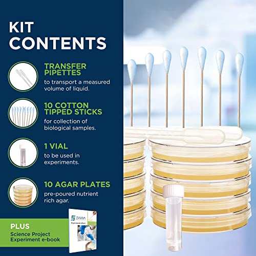 Evviva Sciences Microbiology Science Project Kit, Pre-Poured Agar Plates For Students, Agar Petri Dishes To Learn Microbiology, With Educational Experiment Ebook #TOP1