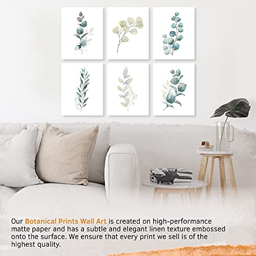 Botanical Prints Wall Art - Eucalyptus Leaves - (Set Of 6) - Unframed - 8X10S #TOP2