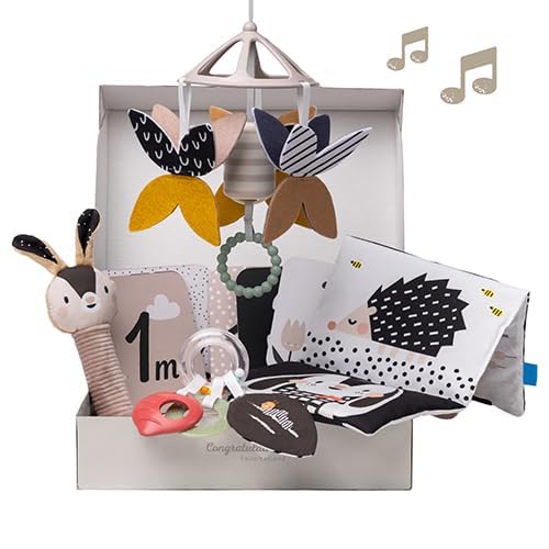 Taf Toys Black & White Newborn Gift Set. 10 High-Contrast Baby Toys for Newborns Includes Mobile Sensory Book Rattle & More. Essential Tummy Time Toys. Ideal for Infants Boys & Girls 0 Months + - Image 2