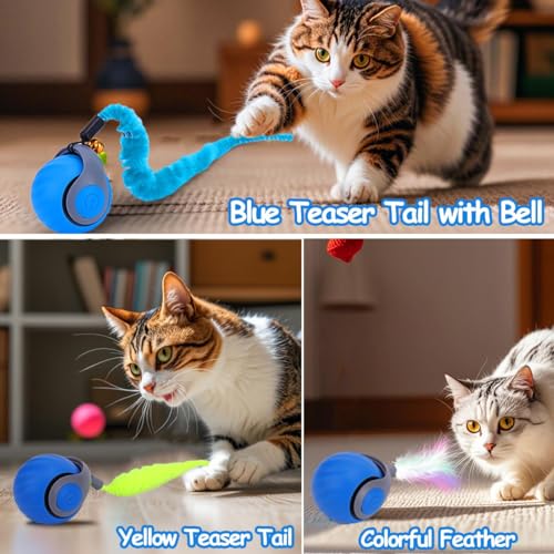 Interaktives-Katzenball-Spielzeug-Elektrisch-Katzenspielzeug-Ball-interaktives-Spielzeug-mit-Schwanz-fur-Katzen-Katzenspielzeug-SelbstbeschaftigungUber-USB-WiederaufladbaresShort-Tail-blau | Dealmeister.io Alt tag für bilder post titel