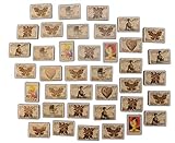 Sorgt in der Gastronomie und zu Hause für ein lauschiges Ambiente