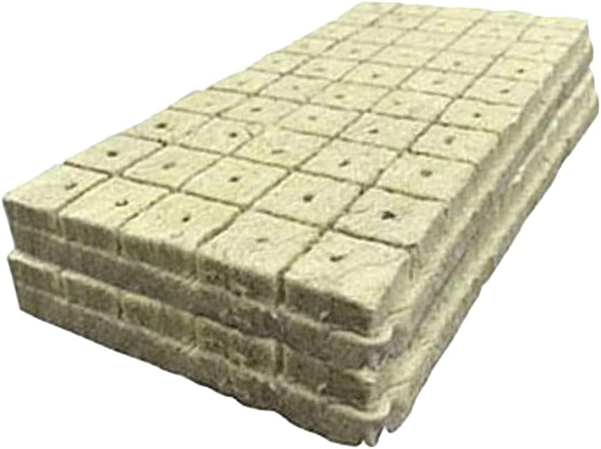 BHAWAN 100 tapones de inicio para plantas de cultivo medianas, sin suelo, fuertes absorciones de agua, para macetas domésticas, jardineros