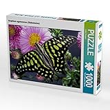 MEHR ALS NUR EIN SPIEL - Puzzles sind unterhaltend, fördern das Wohlbefinden und gleichzeitig Konzentration und Gedächtnis.