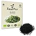 Produktbild SaatPur Bio Keimsaat - Basilikum Keimsprossen Sprossen Microgreen - 20g Basil für Getränke Lebensmittelqualität