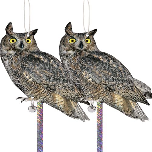 Kungfu Mall Dissuasori Per Piccioni, Dissuasori Per Uccelli, Dissuasore per Piccioni, Gufo Scaccia Piccioni, Uccelli Finti Spaventa Piccioni Anti Piccioni, 2 Pezzi Spaventapasseri Cartone Plastificato
