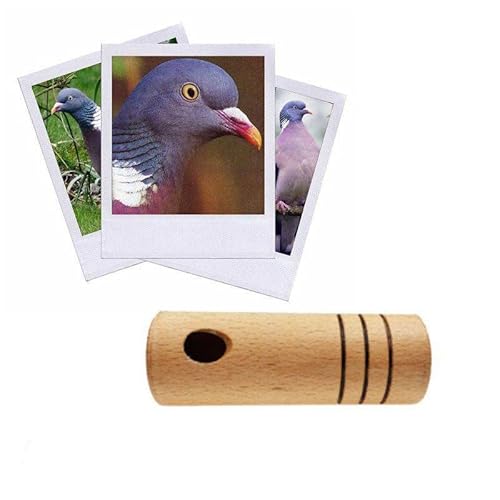 Helen Baud Appeau palombe Cover