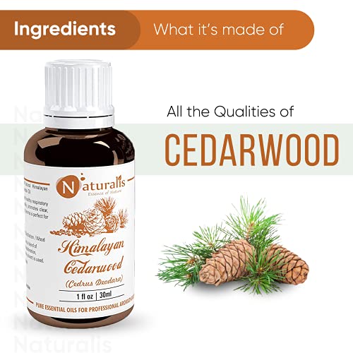 Image of Naturalis Essential Oil Gift Pack of 2-30ml (Cedarwood Oil, Eucalyptus Oil)
