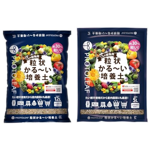 yZbgzvg[t 󂩂~|{y12L + 󂩂~|{y5L