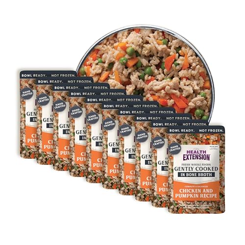 Health Extension Gently Cooked Chicken & Pumpkin Dog Food Human-Grade & Shelf-Stable with Superfoods Supports Digestion Immunity Skin & Coat 3 oz Pouch (Pack of 10)