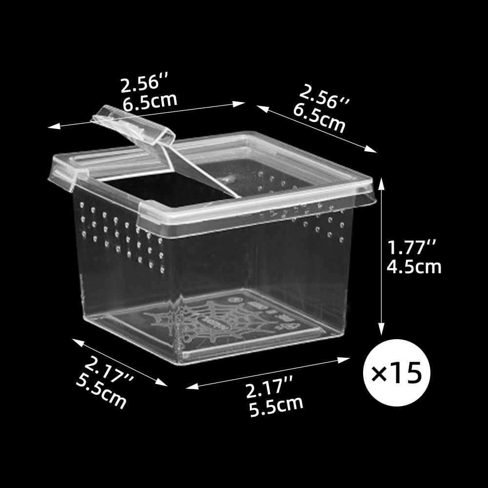 15 terrari per ragni, piccoli contenitori per cova insetti, scatola di alimentazione in plastica per piccoli rettili che saltano ragno, scorpione, millepiedi insetti