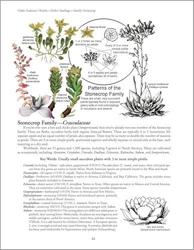 Image of Botany in a Day: The Patterns Method of Plant Identification: An Herbal Field Guide to Plant Families of North America