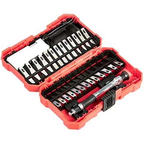 Juego de cuchillos de precisión de 29 piezas de Amazon Basics Cover