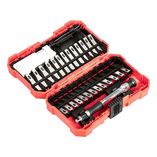 Amazon Basics Juego de cuchillos de precisión de 29 piezas, paquete de 1, Aluminio