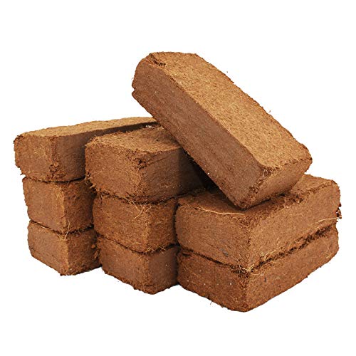 9 Blocs Coco 650gr | 81 litres | Naturel 100% Fibre Pure | Substrat de Noix de Coco pour Terrarium | Terre pour Fleurs | Terreau pour Semi et Plantation | Aucun additif...