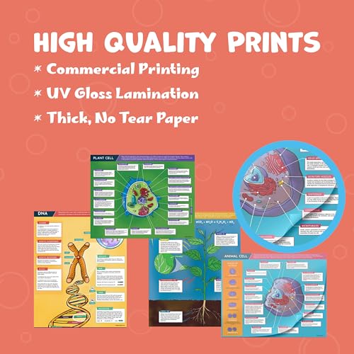 Image of Hubble Bubble Kids Science Posters for Classroom Decoration - 4 Biology Posters include DNA Poster, Photosynthesis, Plant Cell and Animal Cell. Each Poster is 16x20 inches.