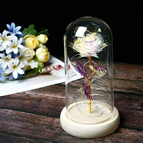 TYXSHIYE Forever Rose in Glass Dome, 24K Rainbow Rose with 20 LEDS 2M/6.6ft String Light, 3PCS AAA Batteries Included for Christmas Thanksgiving Wedding Anniversary Mother's Day Valentine's Day