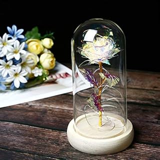 TYXSHIYE Forever Rose in Glass Dome, 24K Rainbow Rose with 20 LEDS 2M/6.6ft String Light, 3PCS AAA Batteries Included for Christmas Thanksgiving Wedding Anniversary Mother's Day Valentine's Day