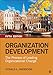 Organization Development: The Process of Leading Organizational Change