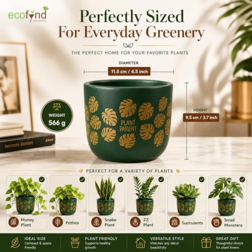 Image of ecofynd 4.5 Inch Monstera Terracotta Pot for Indoor Plant, Decorative Clay Planter for Home, Living Room, Balcony, Office & Garden, Flower Pot for Herbs & Houseplants (TPOT006-GRN)