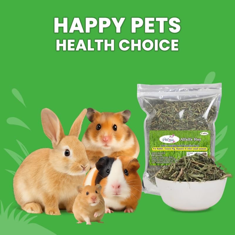 Image of Alfalfa Hay, Food for Rabbits, Guinea Pig, Hamsters and Other Small Animals (400 GMS)- Pack of 1
