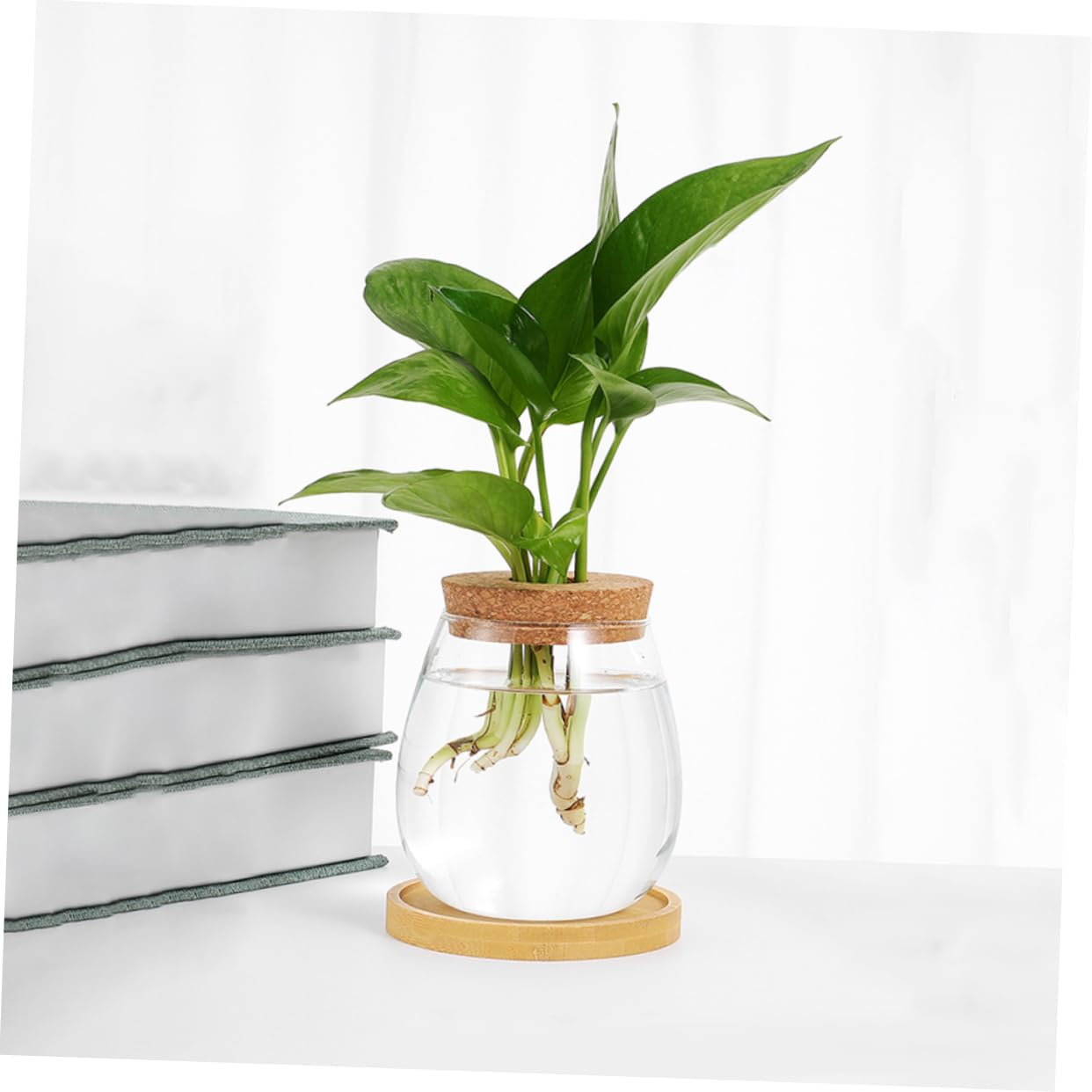 Gatuida 2ensembles Vase De Propagation Eau Verre Transparent Lot de Pots Hydroponiques pour Plantes Intérieur avec Support De Table