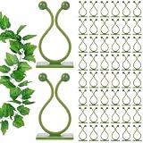 ALLWIN Plant Climbing Wall Clips - 120Pcs,Plant Hooks for Vines, Money Plant Clips (Green)