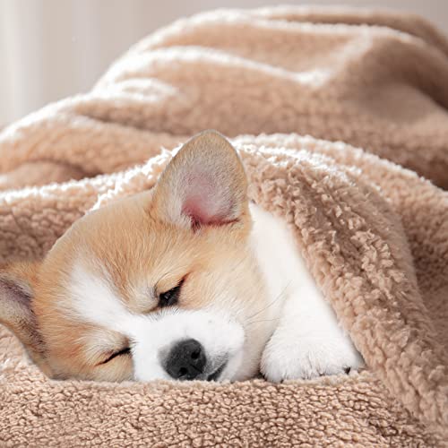 Bertte Sherpa Fleece Baby Blanket | Plush Swaddle Receiving Blankets Super Soft Warm Lightweight Breathable For Infant Toddler Crib Stroller - 33"X43" Large, Light Beige (N-Bab-Lb-33X43) #TOP4