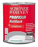 Schöner Wohnen Buntlack Profidur