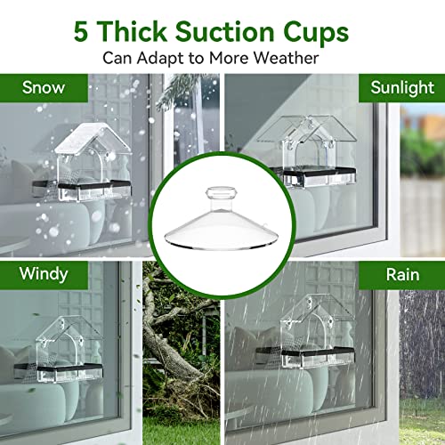 image for Clear Window Bird Feeder with 5 Extra Strong Suction Cups, DY-SKTY Stu