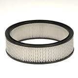 Premium Guard PA3195 Air Filter