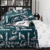 FOCO Philadelphia Eagles NFL Team Color Bed In a Bag Comforter Bedding 5 Piece Full Set #3