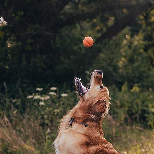 Beco Dog Toy - Natural Rubber Ball for Fetch Toy for Dogs Easy to Find Bright Colours - Orange - Image 3