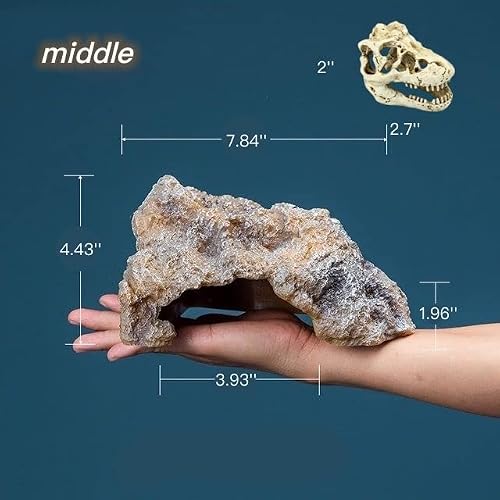 Awxzom Reptile Hideouts Come With Dinosaur Skull Hideout, Reptile Rock Reptile Cave Hideout Habitat Decor Ornament Shelter For Snake Geckos Lizards Bearded Dragon Turtle Snake Amphibians (Middle) #TOP1
