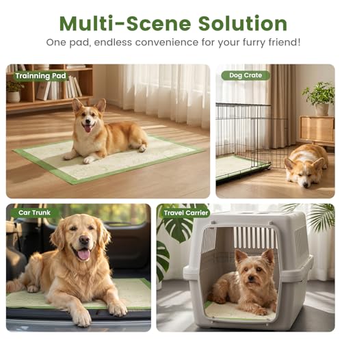 Image of Gardner Pet Pee Pads for Dogs 19 inchX30 inch with Adhesive 10 Count, Large Disposable Dog Pee Pads, Non-Slip Puppy Training Pads for Crate /Cage /Carrier