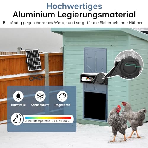 CHAMUTY Große Automatische Hühnerklappe Solar, Elektrische Hühnerklappe Automatisch mit Timer, 7W Solarpanel, LCD Display, Fernbedienung, Automatische Hühnerstalltür Hühnertür, Einklemmschutz