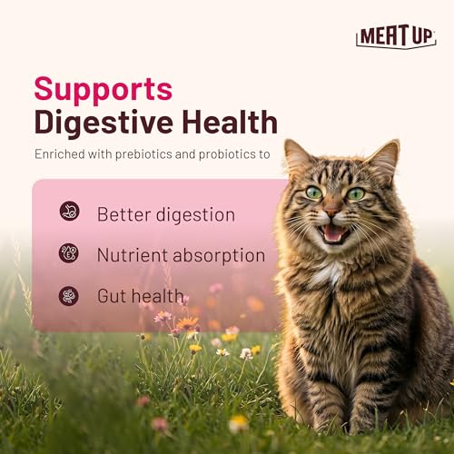 Image of Meat Up Adult Dry Cat Food 3Kg + 3kg (Free) 6Kg | Ocean Fish Flavour | Buy 1 Get 1 | Controls urinary pH | Taurine for Healthy Heart | Healthy Skin & Coat | Hair Ball Protection