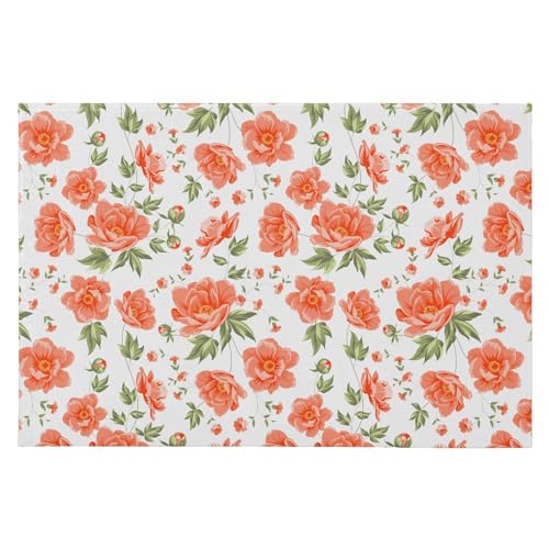 SAMAU  փ}bg  G ԕ ӂӂ hA}bg DƂ ~ O Ɩp ItBXp ƒp 唻 60*90CM