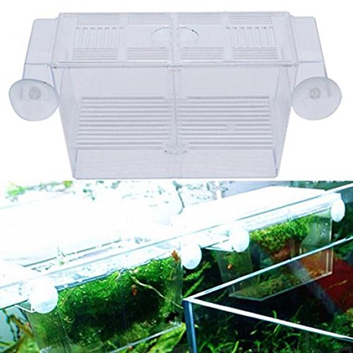 Brussels08 Aquarium Fish Tank Breeding Isolation Box Fish Breeder Hatchery Breeding Breeder Rearing Trap Box