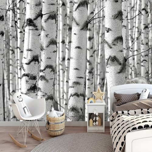 Papier Peint Bouleau Grand Format Intissé pour Murs Imparfaits - 5