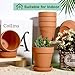 vensovo 4 Inch Terracotta Plant Pots with Saucer - 6 Pack Clay Flower Pots with Drainage, Great for Plants, Crafts, Wedding Favor