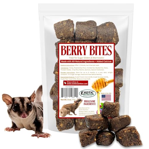 Exotic Nutrition Berry Bites- Healthy & Unique Treat with Honey, Raisins, and Apricot for Sugar Gliders