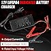12V 5A LiFePO4 Battery Charger, 14.6V Lithium Battery Charger, Fast Charging, Over-Current and Over-Voltage Protection for 12V Lithium Iron Phosphate Batteries