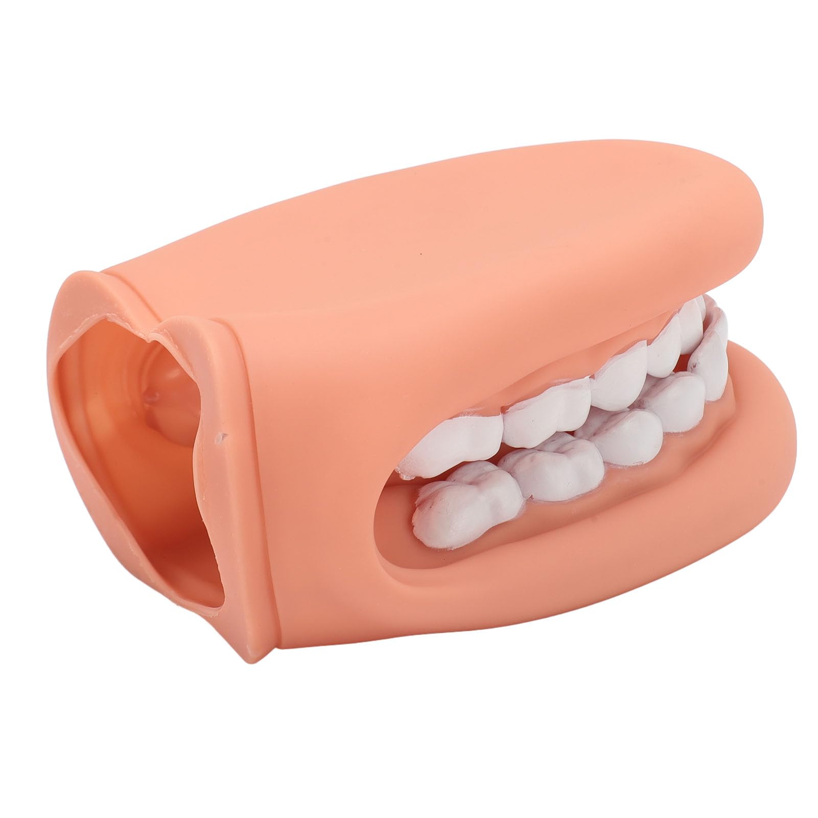 Modèle de Soins Dentaires-modèle de Bouche, Marionnette Buccale de Démonstration D'orthophonie en Silicone à 28 Dents avec Langue pour Enfants, Facile à Nettoyer, Matériau de