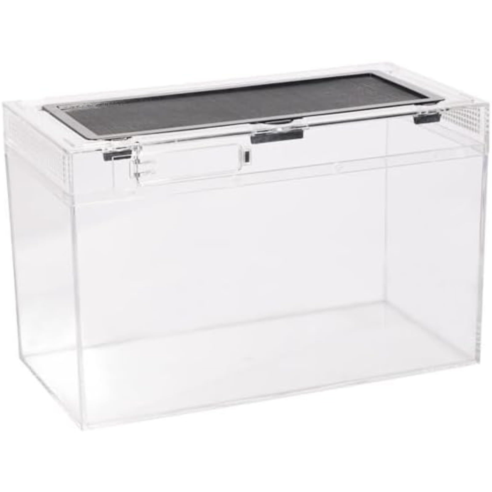 Amazon | 虫かご 大 爬虫類ケージ 飼育容器、トカゲ、30cm/40cm