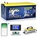 LOSSIGY 48V 100Ah Lithium Golf Cart Battery, Bluetooth LiFePO4 Battery with 58.4V18A Smart Battery Charger & LCD monitor,Perfect for Golf Carts，200A BMS, Peak Current 1000A(3-5S)